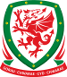 Wales U21