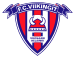 Viikingit
